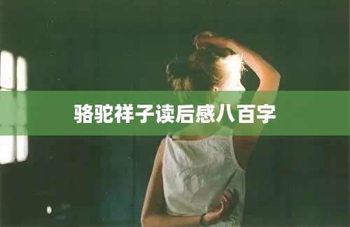 骆驼祥子读后感八百字