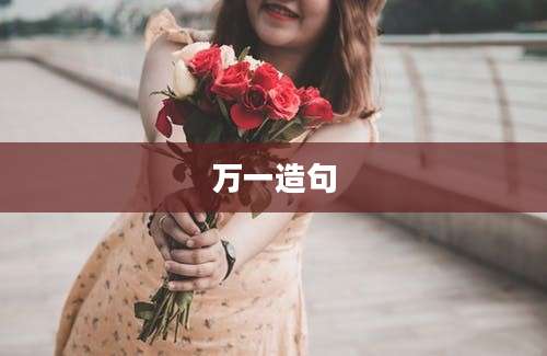 万一造句