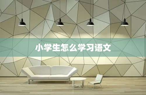 小学生怎么学习语文