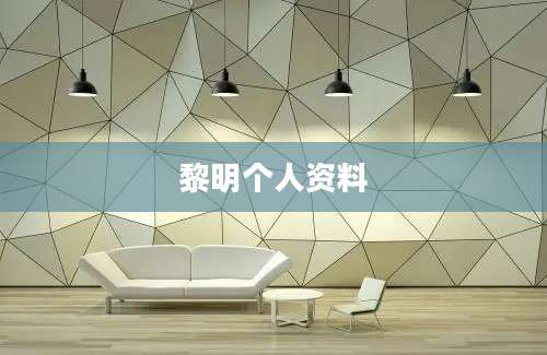 黎明个人资料