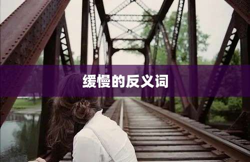 缓慢的反义词