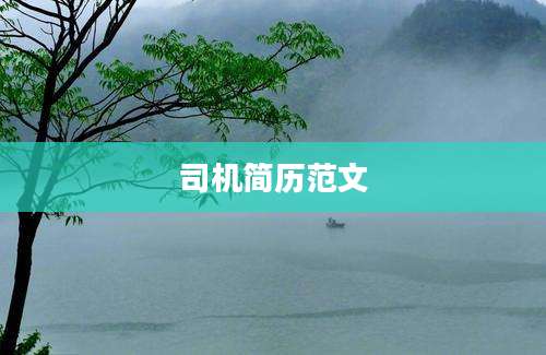 司机简历范文