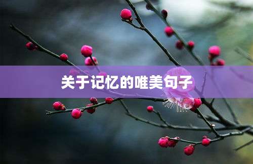 关于记忆的唯美句子