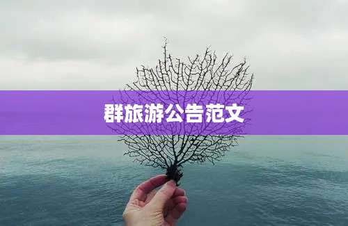 群旅游公告范文