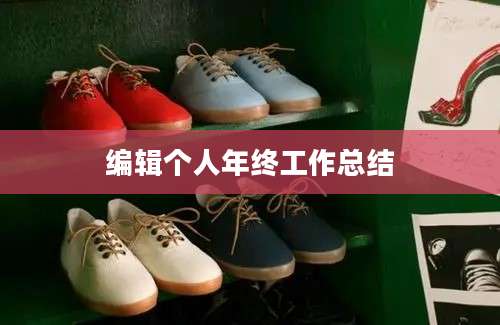 编辑个人年终工作总结