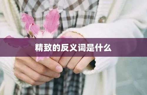 精致的反义词是什么