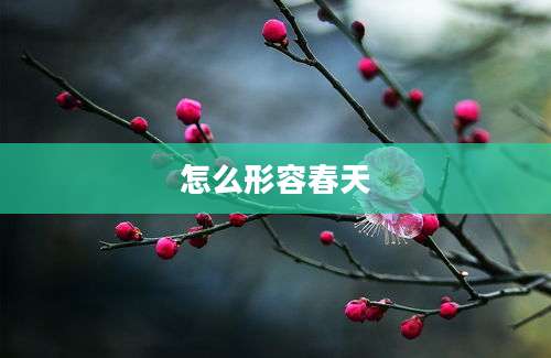 怎么形容春天