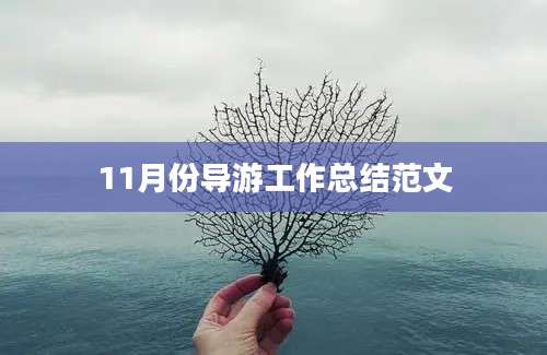 11月份导游工作总结范文
