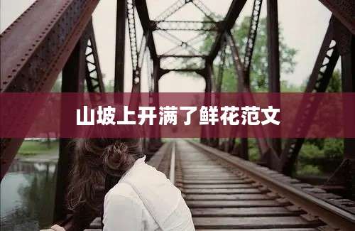 山坡上开满了鲜花范文