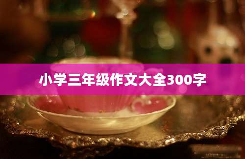 小学三年级作文大全300字