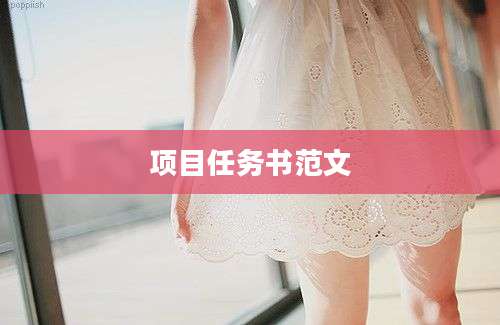 项目任务书范文