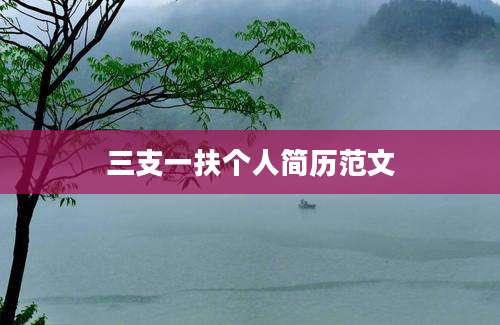 三支一扶个人简历范文