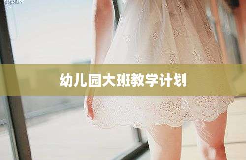 幼儿园大班教学计划