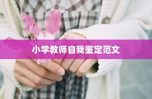 小学教师自我鉴定范文