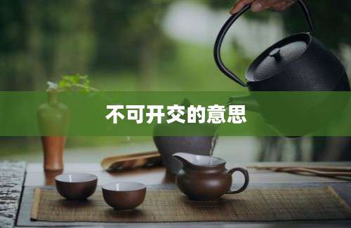 不可开交的意思