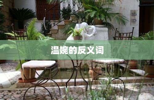 温婉的反义词