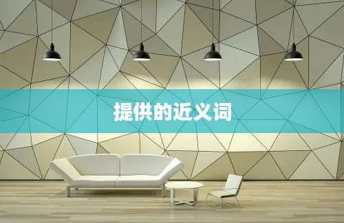 提供的近义词