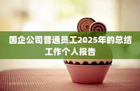 国企公司普通员工2025年的总结工作个人报告