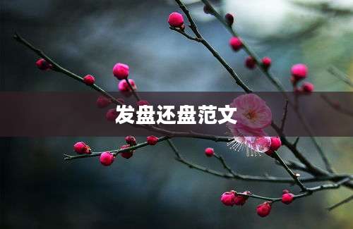 发盘还盘范文