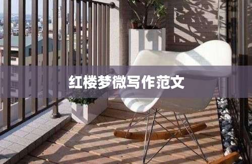 红楼梦微写作范文