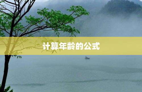 计算年龄的公式