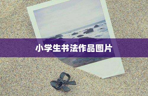 小学生书法作品图片