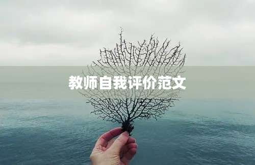 教师自我评价范文