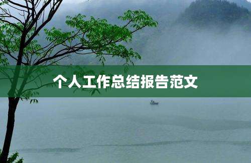 个人工作总结报告范文