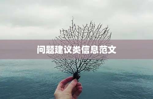 问题建议类信息范文