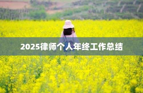 2025律师个人年终工作总结