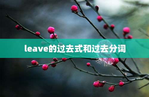leave的过去式和过去分词