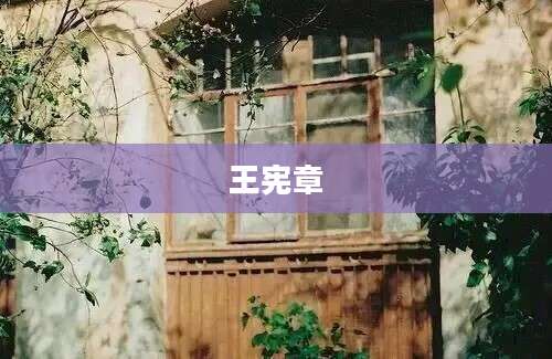 王宪章