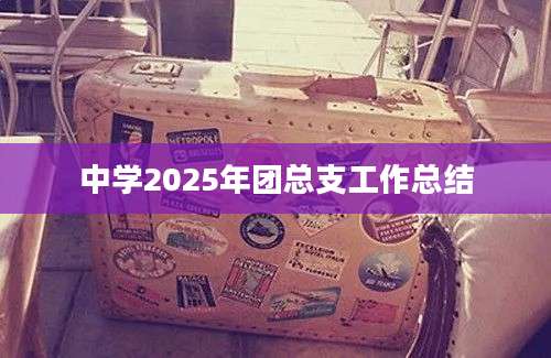 中学2025年团总支工作总结
