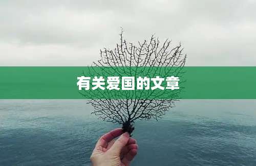 有关爱国的文章