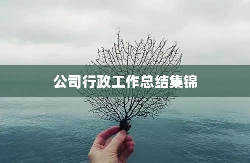 公司行政工作总结集锦