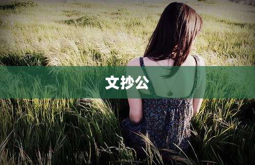 文抄公