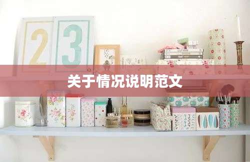 关于情况说明范文