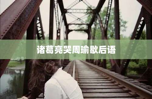 诸葛亮哭周瑜歇后语