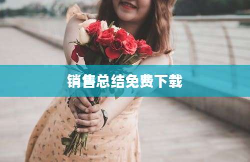销售总结免费下载