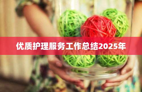 优质护理服务工作总结2025年