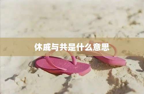 休戚与共是什么意思