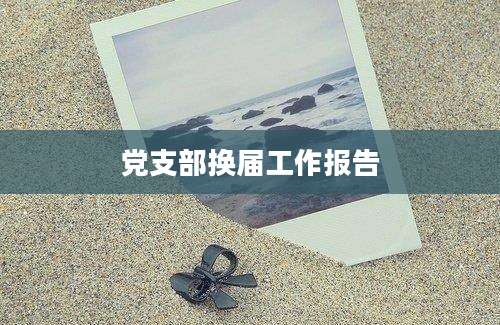党支部换届工作报告