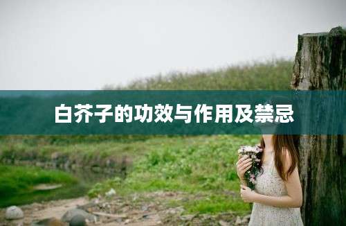 白芥子的功效与作用及禁忌