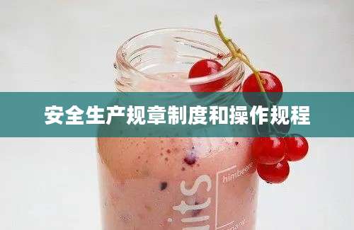 安全生产规章制度和操作规程