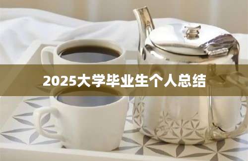 2025大学毕业生个人总结