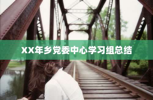 XX年乡党委中心学习组总结