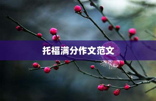 托福满分作文范文