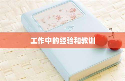 工作中的经验和教训