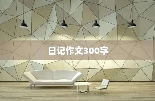 日记作文300字