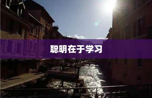聪明在于学习